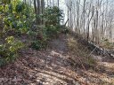 00 Bee Tree Road 103B sold home in Swannanoa, SC