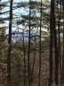Tbd Robinhood Road sold home in Asheville, SC