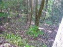 772 Rich Mountain Road sold home in Flat Rock, SC