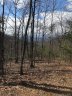 00 Mountain Lookout Drive sold home in Bostic, SC