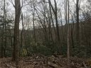Lot 7 Pisgah Forest Drive sold home in Pisgah Forest, SC