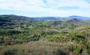 7075 Grandview Extension sold home in Newland, SC