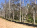 Lot 28 Thistle Lane sold home in Fletcher, SC
