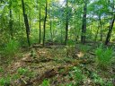 0 Bald Hill Court 91 sold home in Lake Lure, SC