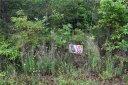 3163 Lake Drive 53 sold home in Morganton, SC