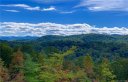 Woodlands 10 Curtain Bluff None sold home in Hendersonville, SC