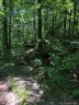 Lot 4b Lower Flat Creek Road 4B sold home in Black Mountain, SC
