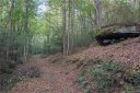 2020 Happy Acres Road sold home in Brevard, SC