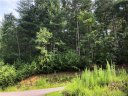1691 Yellow Fork Trail 171 sold home in Nebo, SC
