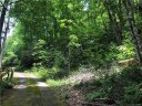 9999 Chestnut Walk Drive 7 sold home in Waynesville, SC
