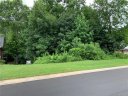 253 River Birch Circle 41 sold home in Mooresville, SC