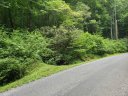 Lots 428 428a Chestnut Forest Road sold home in Fairview, SC
