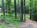 1060 Wash Freeman Road sold home in Hendersonville, SC