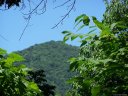 6 Chestnut Flats Lane sold home in Waynesville, SC