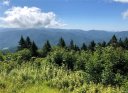 99999 Greenspire Drive sold home in Sylva, SC
