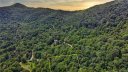 Tbd Purple Martin Lane sold home in Waynesville, SC