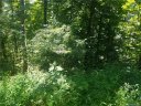 00 Spring Valley Drive 45 sold home in Waynesville, SC