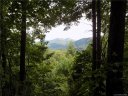 1088 Kestrel Lane sold home in Black Mountain, SC