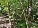 Lot 15 Eastatoe Gap Road sold home in Rosman, SC