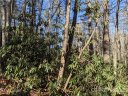 0 Willow Lake Drive 21 sold home in Hendersonville, SC