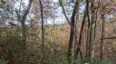 Lot 110 Ladd Ridge tbd sold home in Rosman, SC