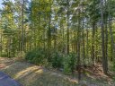 111 Huckleberry Ridge Lane sold home in Zirconia, SC