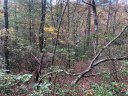 Lot 5 Oriole Road sold home in Brevard, SC