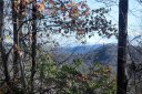 Lot 7 Long Ridge Lane sold home in Rosman, SC