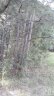 0 Maple Street sold home in Norwood, SC