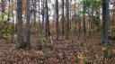 0 Timberlane Trail 123 sold home in Salisbury, SC