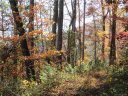 217 Patriots Drive 4 sold home in Asheville, SC