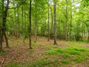 Lot 3 Turkey Ridge Road sold home in Fletcher, SC