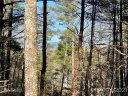 2086 October Drive 147 sold home in Nebo, SC
