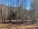 0000 Pebble Stone Trail 46 sold home in Hendersonville, SC