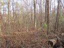 Tbd Burge Mountain Road sold home in Hendersonville, SC