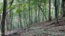 167 Puncheon Lane sold home in Mars Hill, SC