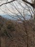 86 Bartrams Walk Drive 14 sold home in Asheville, SC