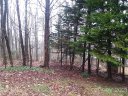 000 Sequoia Drive sold home in Gastonia, SC