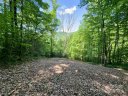 14 Trout Lily Lane sold home in Maggie Valley, SC