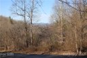41 View Ridge Parkway sold home in Leicester, SC