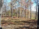 Lot C 11 28 Berry Lane C-11 sold home in Black Mountain, SC