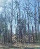 1409 Breezewood Drive sold home in Charlotte, SC