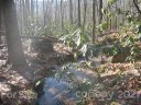 0 N Poplar Drive 226 sold home in Lake Lure, SC