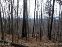 Lot 92 Big Rock Road sold home in Bostic, SC