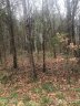 Lot 134 Spring Run Drive sold home in Mooresville, SC