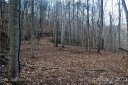 99999 Double Knob Drive 105, 104, 103 sold home in Arden, SC