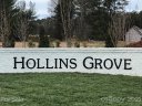 14217 Hollins Grove Avenue 40 sold home in Huntersville, SC
