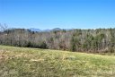 41 Alaskan Drive 20B sold home in Leicester, SC