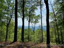 176 Winterberry Drive sold home in Marshall, SC