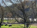 47 French Broad Parkway sold home in Marshall, SC